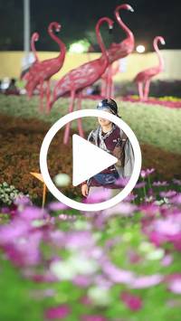 BIB:  <button type="button" onclick="openModal(27591060)" class="btn btn-primary btn-sm float-right" data-toggle="modal" data-target=".modal-high-quality">
                <i class="fa fa-download"></i> Download
                </button>